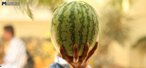 2021娱乐圈吃瓜,瓜田李下，明星们的年度“瓜”事盘点